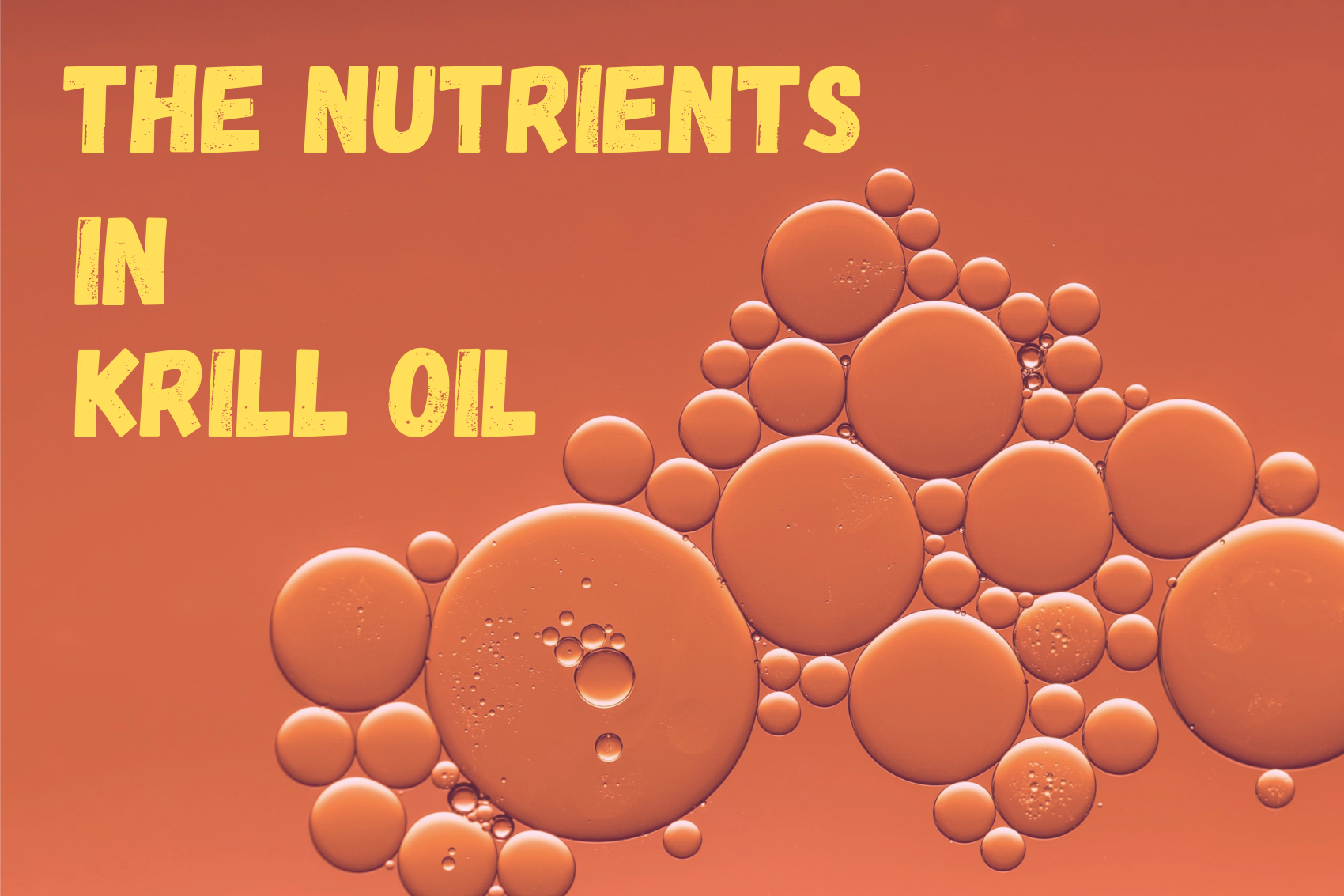 The Nutritional Values of Krill and its Hidden Superpowers Norway Omega3